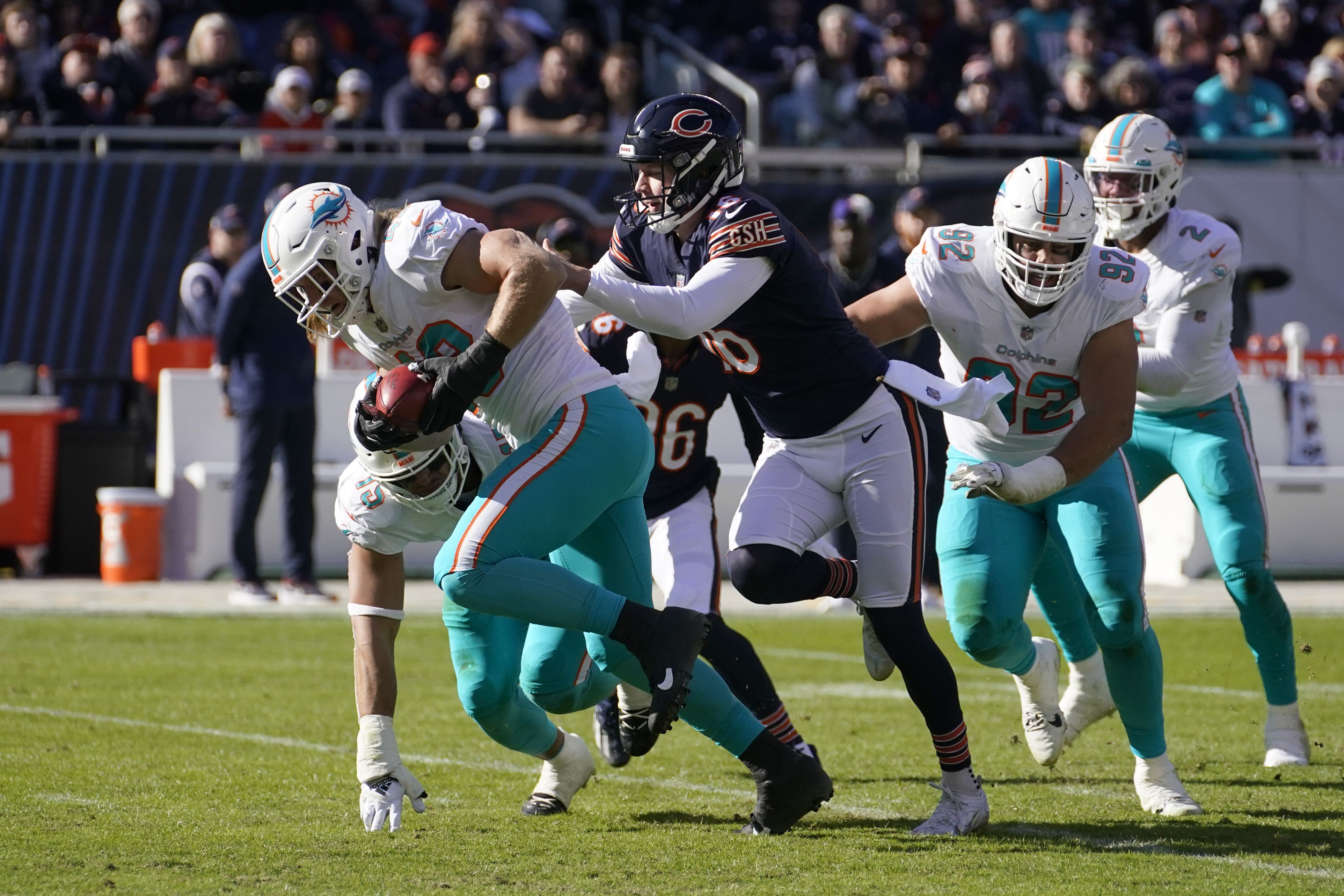 Miami Dolphins fullback Alec Ingold (30) runs with the ball to score a  touchdown during an NFL football game against the Cleveland Browns, Sunday,  Nov. 13, 2022, in Miami Gardens, Fla. (AP