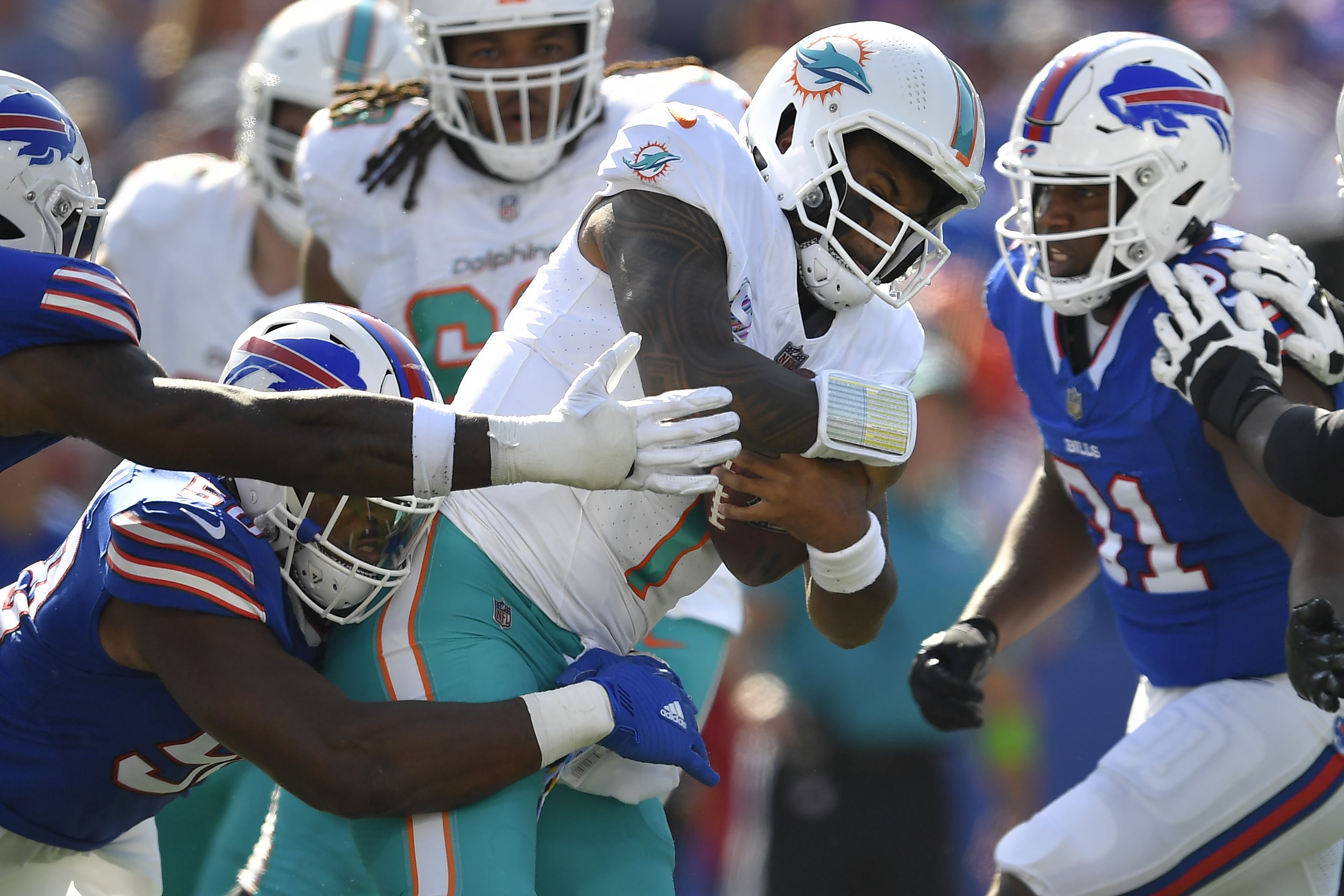 Bills vs. Dolphins: Cameron Wake Feasts On Buffalo - Buffalo Rumblings