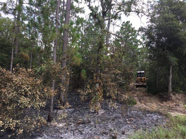 Crews work to contain wildfire apparently caused by lightning, officials say