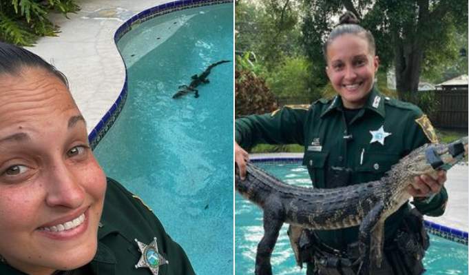 Florida deputy kicks alligator out of backyard swimming pool