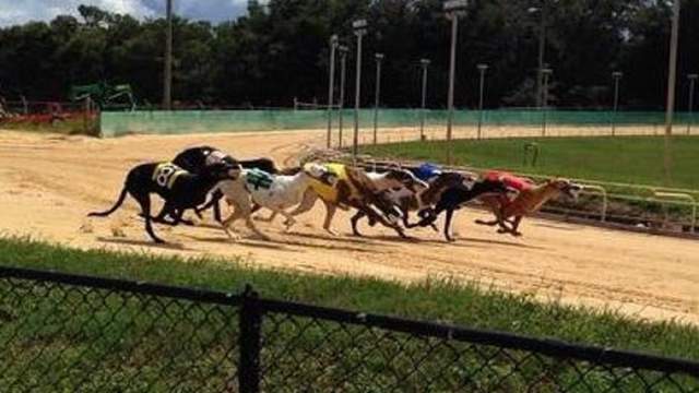 Florida tracks phase out dog racing, implement Amendment 13