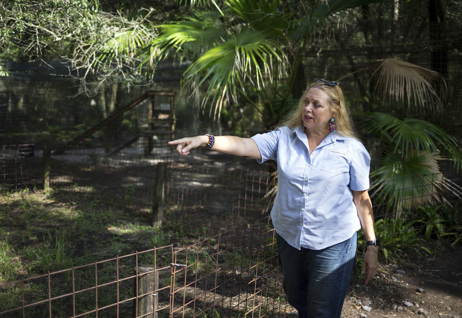 Woman nearly loses arm in tiger attack at Carole Baskin’s Big Cat Rescue