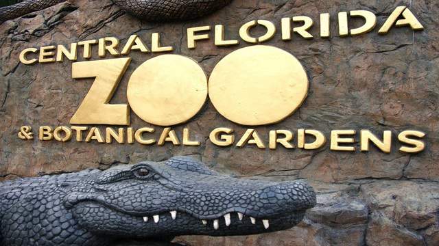 Theres no zoo without you: Central Florida Zoo works to combat $1.5M in financial losses due to COVID-19