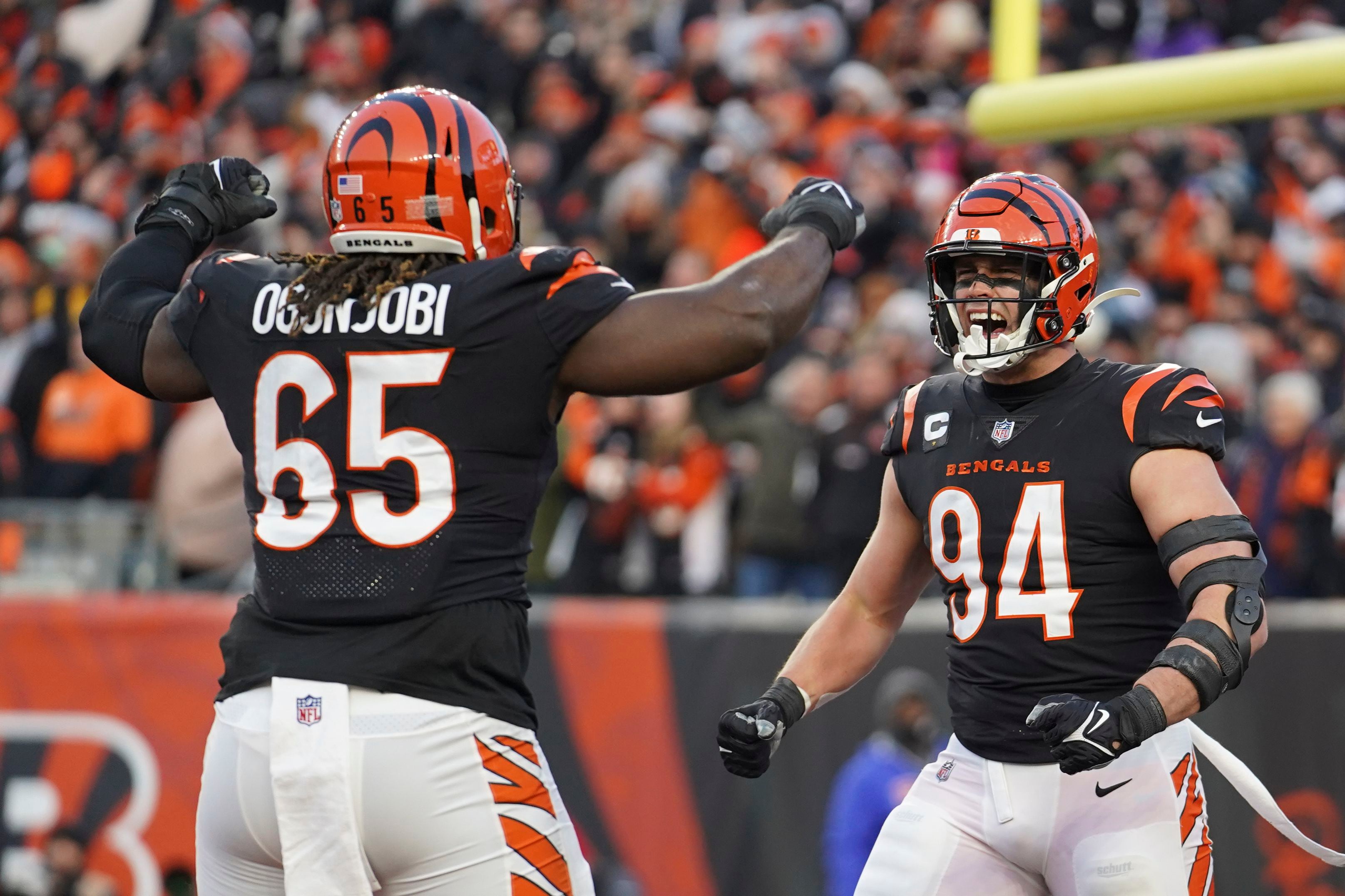 Who owns the Cincinnati Bengals: Mike Brown says Bengals AFC championship a  'proud moment'