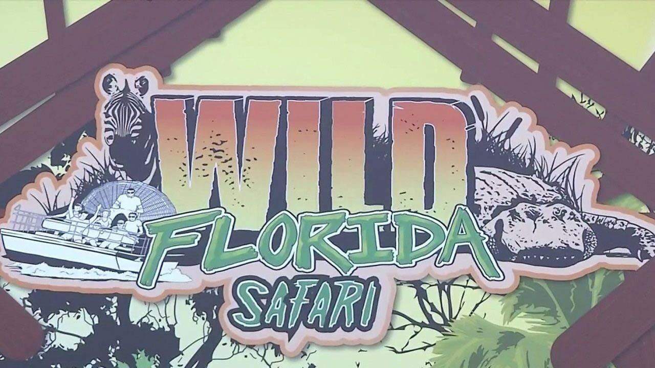 Wild Florida closes drive-thru safari park amid coronavirus pandemic