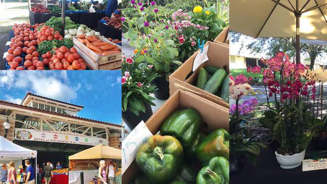 Shop local at these popular Orlando area farmers markets