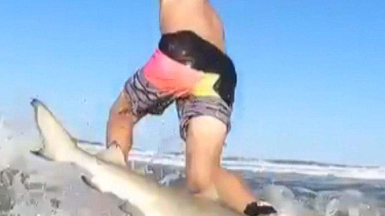 Florida Boy 9 Knocked Off Surf Board By Shark