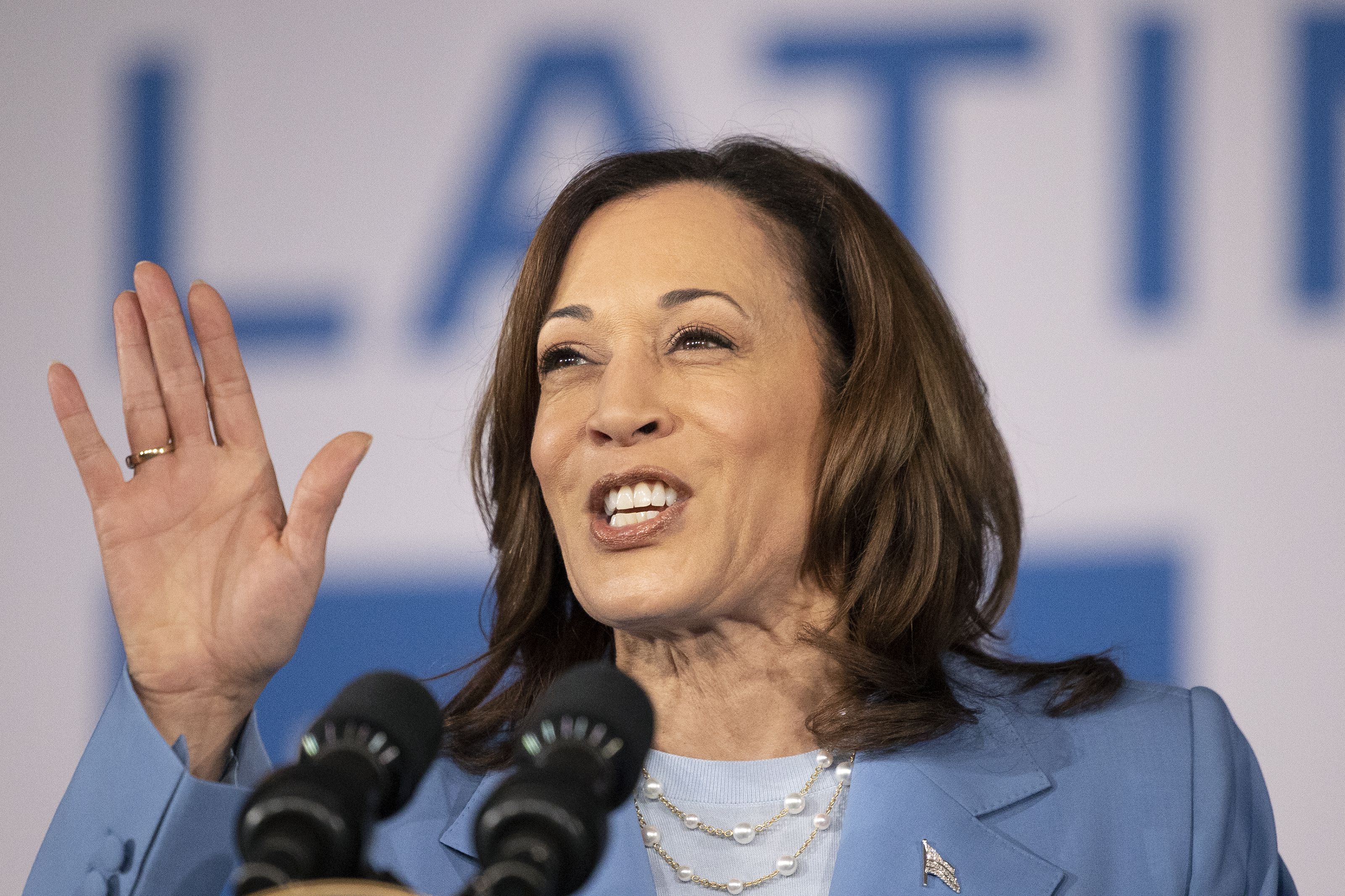 Harris tries to hold the line for Biden as Democrats panic over election thumbnail