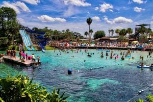 A spring park bathed in blue and orange – “Go Crazy, Folks, Go Crazy!”