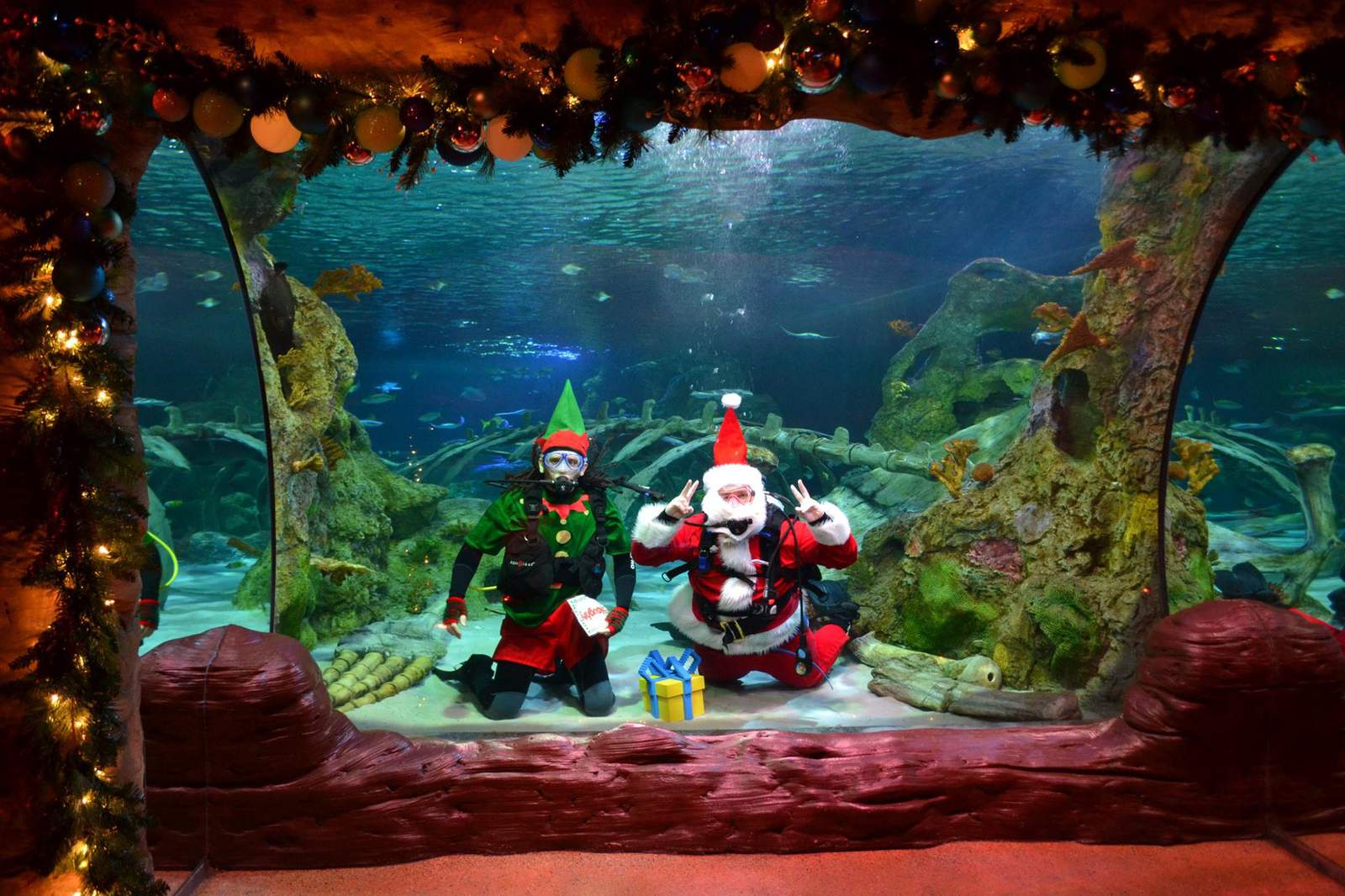 'Tis the Sea-son! Santa and elves make stop at Sealife Orlando Aquarium