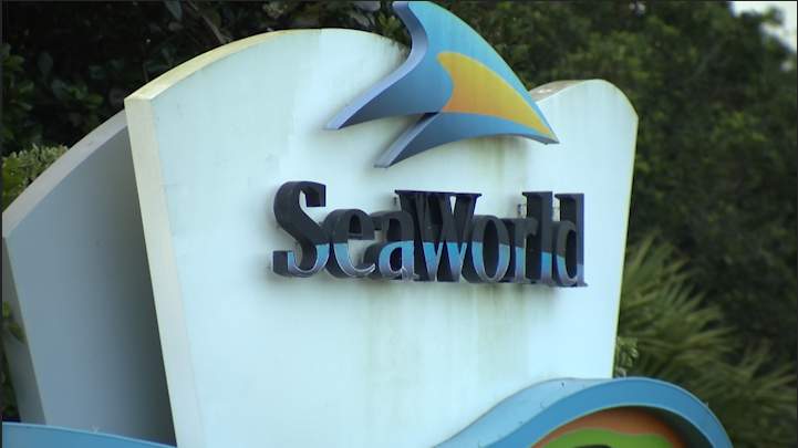 SeaWorld Orlando makes changes to its COVID-19 safety measures