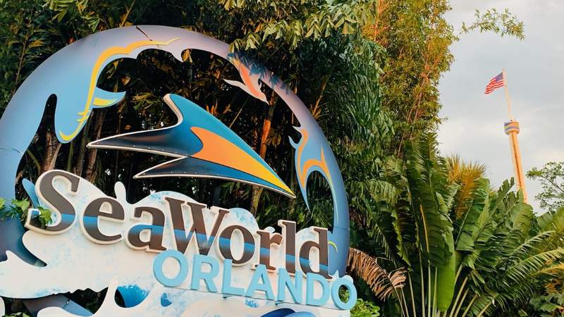 SeaWorld and Busch Gardens Tampa Bay return to full capacity